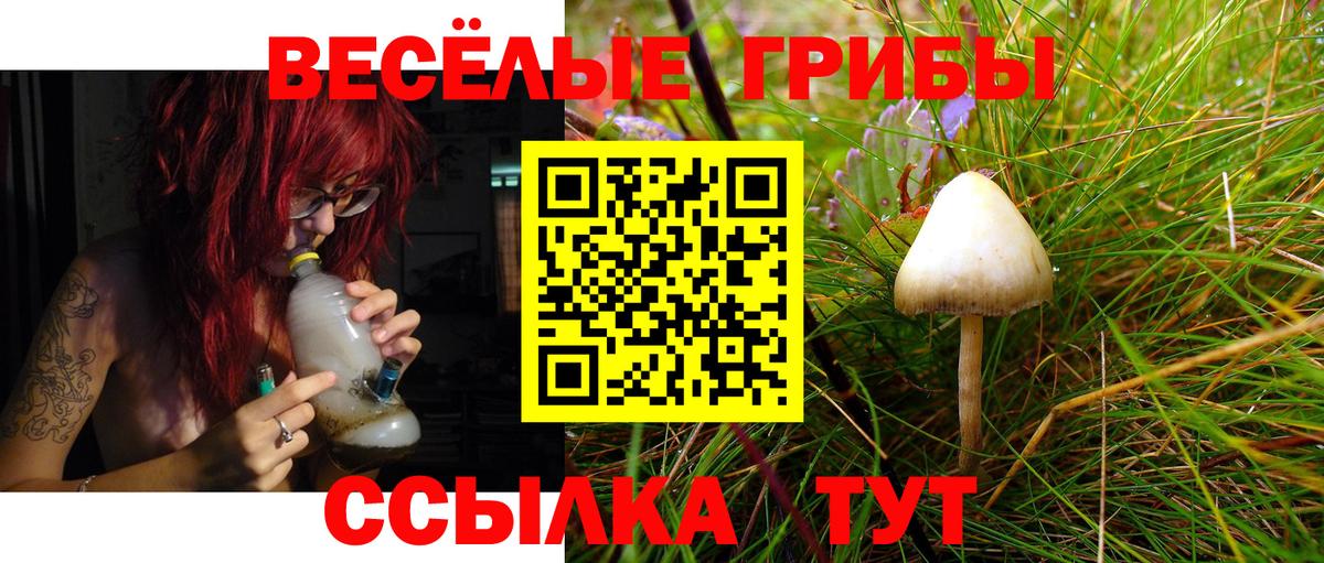 Галлюциногенные грибы MAGIC MUSHROOMS Ликино-Дулёво